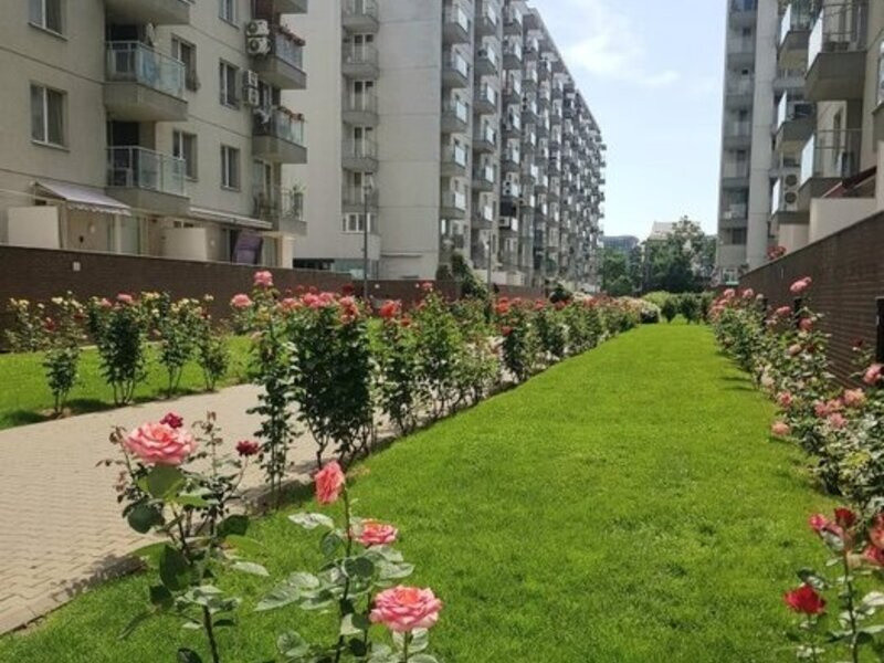 2 Camere | Doamna Ghica - Rose Garden | Pet Friendly | Parcare 