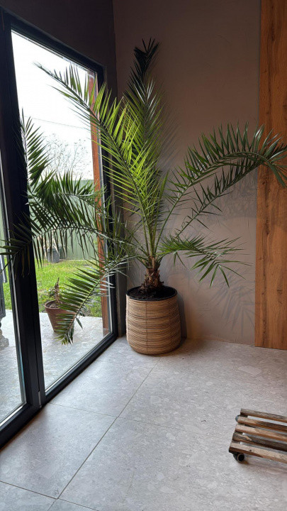 Urgent - Randament 10.4% | Comuna Berceni | Inchiriat pe 5 ani