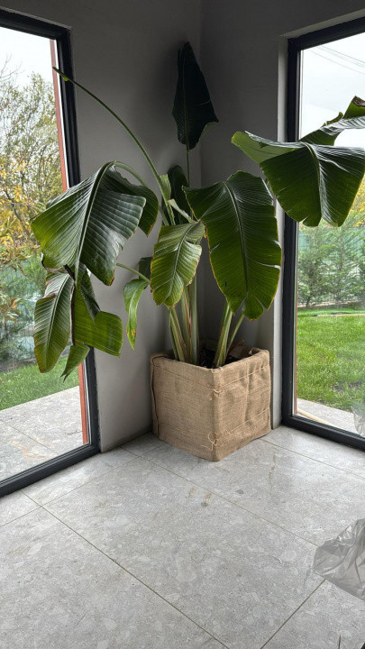 Urgent - Randament 10.4% | Comuna Berceni | Inchiriat pe 5 ani